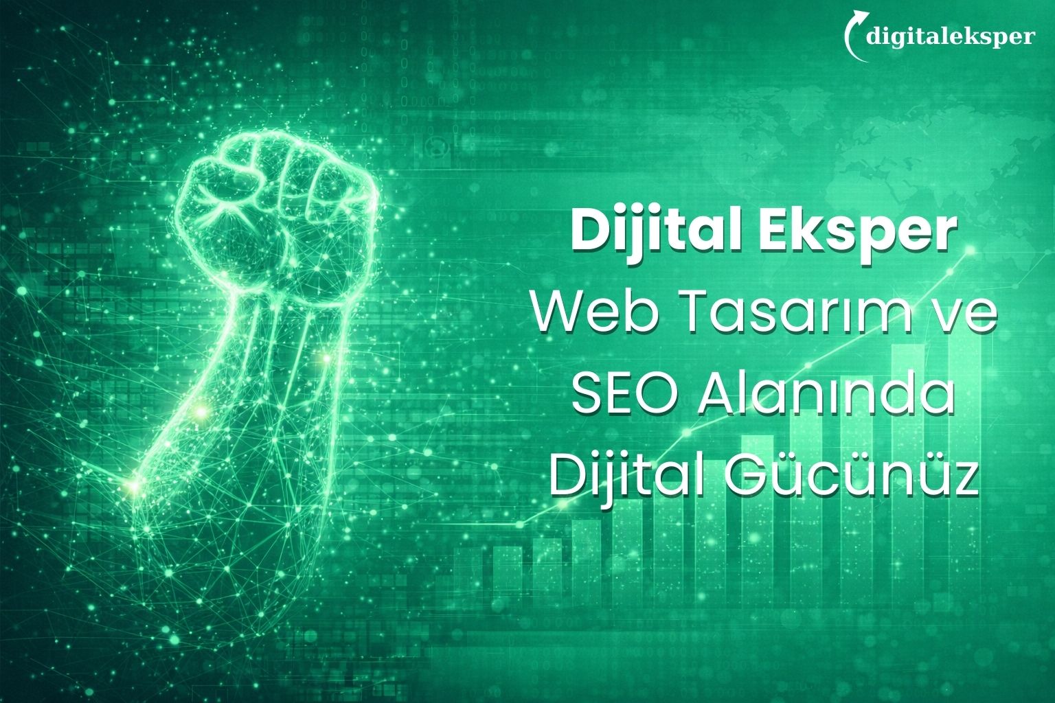 Dijital Eksper: Web Tasarım ve SEO Alanında Dijital Gücünüz