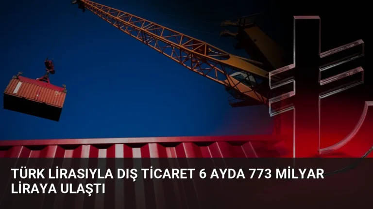 Türk Lirasıyla Dış Ticaret 6 Ayda 773 Milyar Liraya Ulaştı