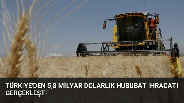 Türkiye’den 5,8 Milyar Dolarlık Hububat İhracatı Gerçekleşti