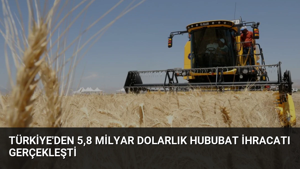 Türkiye’den 5,8 Milyar Dolarlık Hububat İhracatı Gerçekleşti