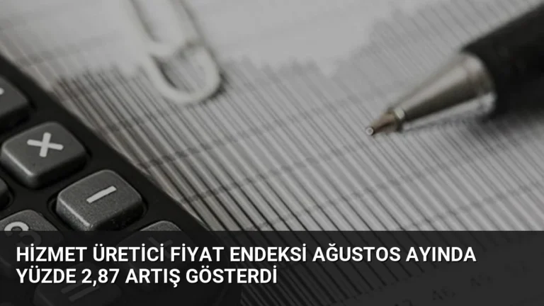 Hizmet Üretici Fiyat Endeksi Ağustos Ayında Yüzde 2,87 Artış Gösterdi