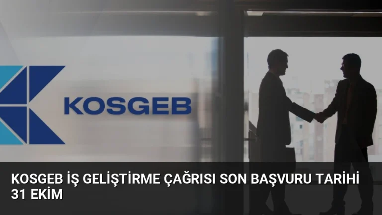 KOSGEB İş Geliştirme Çağrısı Son Başvuru Tarihi 31 Ekim