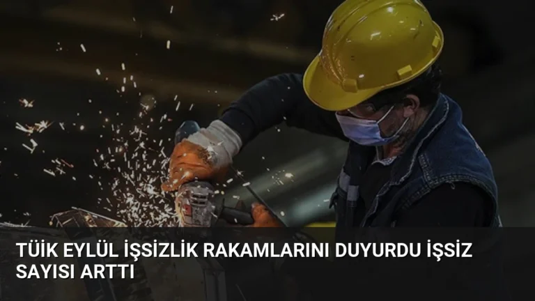 TÜİK Eylül İşsizlik Rakamlarını Duyurdu İşsiz Sayısı Arttı