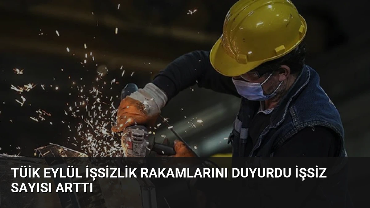 TÜİK Eylül İşsizlik Rakamlarını Duyurdu İşsiz Sayısı Arttı