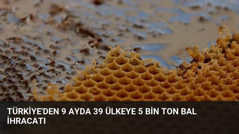 Türkiye’den 9 Ayda 39 Ülkeye 5 Bin Ton Bal İhracatı